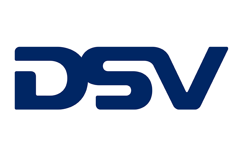 dsv_logo