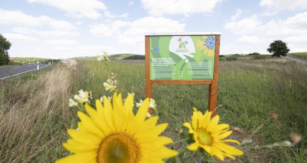 Saarland Artenreich – Nouveaux paysages fleuris avec LEG Saar